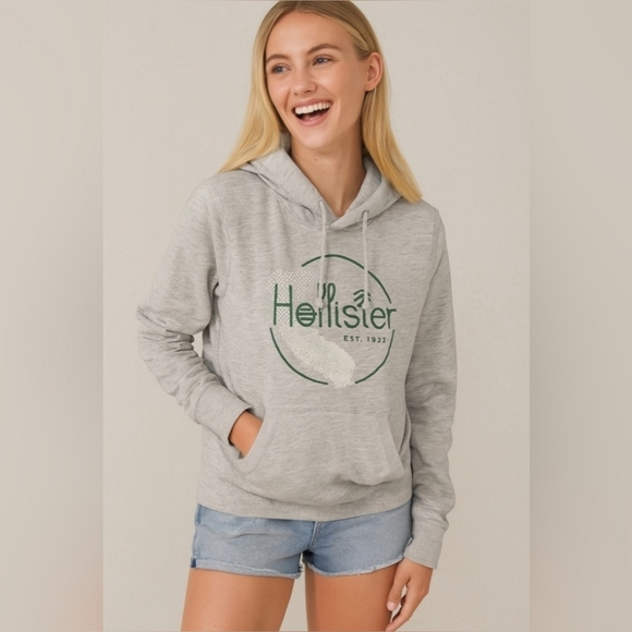 EUC | Hollister Gray Terrycloth California Hoodie - Picture 8 of 8